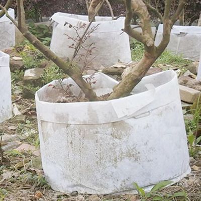 Προσαρμόστε καυτό πωλώντας τη μη υφαμένη τσάντα εγκαταστάσεων υφάσματος βιοδιασπάσιμη που το αναπνεύσιμο δέντρο flet αυξάνεται τη μεγάλη τσάντα βρεφικών σταθμών τσαντών με τη λαβή